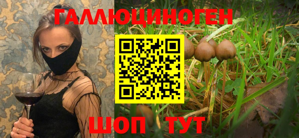 Псилоцибиновые грибы Magic Shrooms  Вход с VPN  Калач-на-Дону 