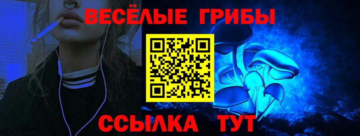 Галлюциногенные грибы GOLDEN TEACHER Калач-на-Дону